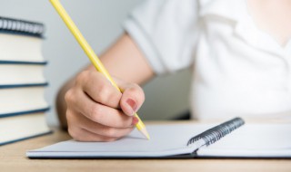 职业及收入证明怎么填 职业及收入证明怎么填写