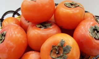 柿子和什么不能一起吃会过敏(柿子吃了会不会过敏)