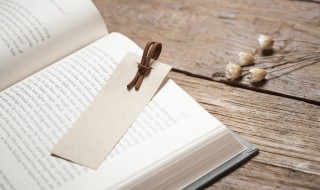 楚虽三户亡秦必楚的意思(楚虽三户亡秦必楚的寓意)