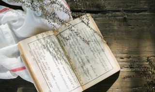 贿赂什么意思(男生说贿赂什么意思)