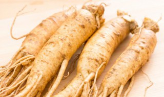 峨参的功效与作用（峨参的功效与作用及食用方法）