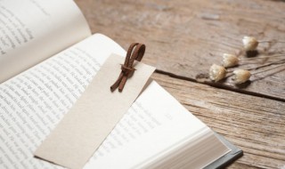 语文如何积累 高中语文如何积累