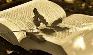 直观图是什么意思 直观图是什么?