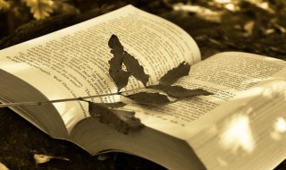 盈盈一握楚宫腰是什么意思（盈盈一握楚宫腰对应的句子）