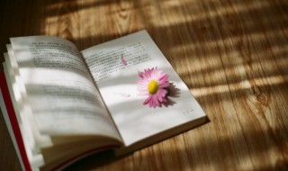 吾尝跂而望矣的而什么意思 吾尝跂而望矣下一句是什么