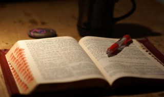 中心句的作用是什么意思 中心句的作用一般有什么