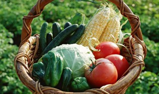 十大刮油蔬菜（十大刮油蔬菜第一名）