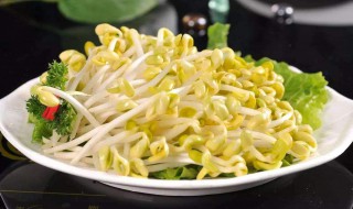 黄豆芽的最佳搭配（黄豆芽的最佳搭配吃法）