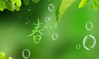 描写春天美丽景色的句子(描写春天美丽景色的句子短句)