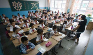 小学生欢度春节的作文 小学生欢度春节的作文题目