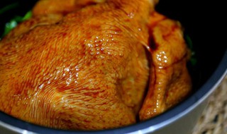 电饭锅焖鸡的做法（电饭锅焖鸡的做法大全窍门）