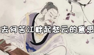 来欢去何苦江畔起愁云的意思 来欢去何苦江畔起愁云的意思是什么
