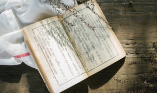 描写冬天美丽的句子（描写冬天美丽的一段话）