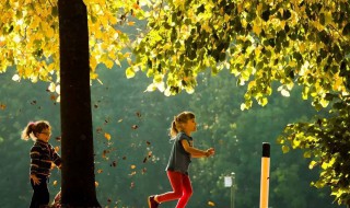 看秋天美景好心情的句子（看秋天美景好心情的句子说说）