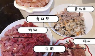 猫饭制作方法（猫饭制作方法视频教程）