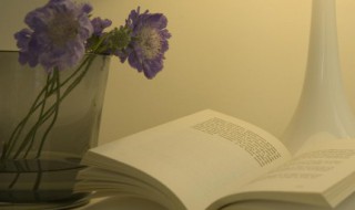 写景文赏析方法（写景文的描写手法）