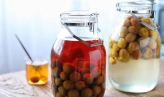 梅子酒荔枝酒的做法（梅子酒荔枝酒的做法和配方）