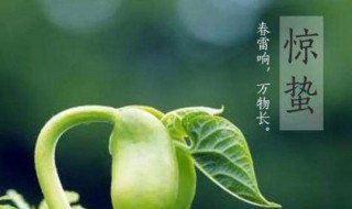描写惊蛰节气的诗句（描写24节气惊蛰的诗句）