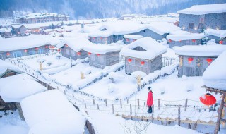 下雪的有意境的短句子（下雪的有意境的短句子小学）