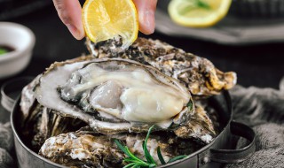 贝类海鲜的做法大全（贝类海鲜的做法大全窍门）