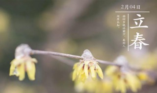 立春的日期一般是什么时候 立春是什么日期?