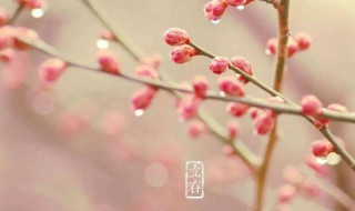 立春立是什么意思（立春 是什么意思）