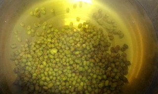 炖绿豆汤最快的方法 炖绿豆汤最快的方法窍门