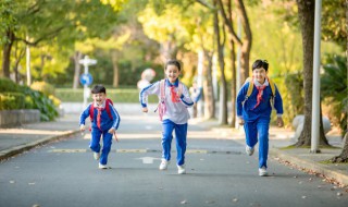 赞颂友谊的唯美句子（赞颂友谊的唯美句子短句）