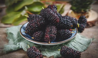 桑葚米酒制作教程 桑葚米酒的制作方法