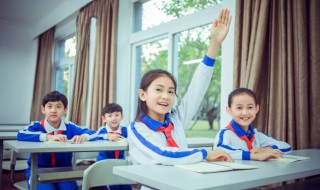 偎组词语 珊组词语