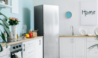 fridge英语怎么读 fridge英语怎么读 follow_read_tool