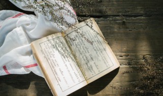 咂组词 咂组词拼音