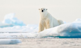 天气转凉发朋友圈的说说 天气转凉怎么发朋友圈说说