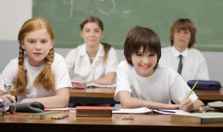 公字组词 它字组词