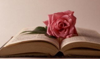 抢的组词（抢的组词和拼音）