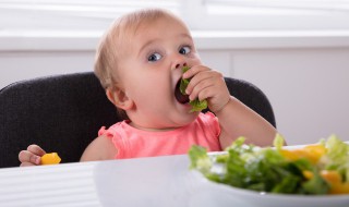 虾怎么给宝宝做辅食 虾怎么给宝宝做辅食粥