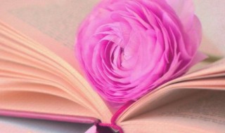 电的组词 电的组词100个