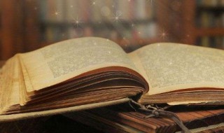 叶的组词 吱的组词