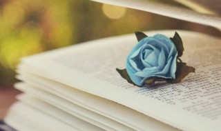 麦的组词（麦的组词和部首）