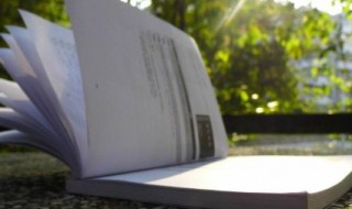 处多音字组词 处多音字组词和拼音