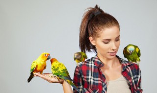 鸲怎么读(鸫怎么读)