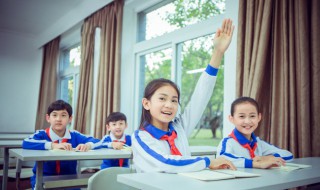 棕怎么组词（棕怎么组词三年级）