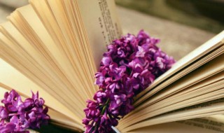 鹅的组词 卵的组词