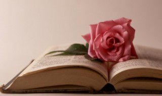 黄的组词（黄的组词有什么）