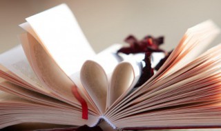 绒的组词(绒的组词有哪些)