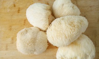 鲜猴头菇的做法(鲜猴头菇的做法窍门)