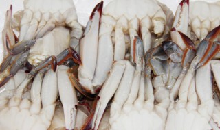 冷冻螃蟹的做法大全 食材_冷冻螃蟹的做法大全窍门