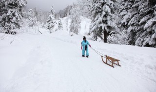 看雪发朋友圈唯美短句（看雪发朋友圈唯美短句简短）