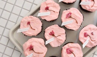 草莓味樱花芝士的做法 芝士草莓蛋糕