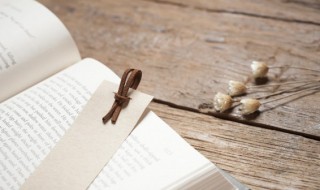 别出新意是什么意思 别出新才是什么意思